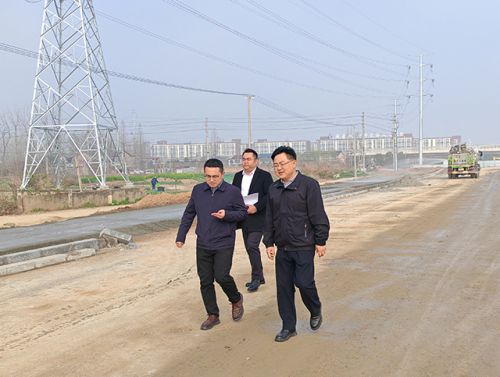 杨庆洋调研集团公司在建城建工程