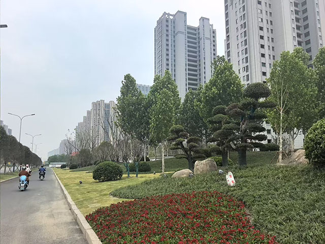02.jpg